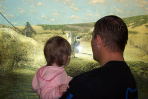 zoo7.jpg